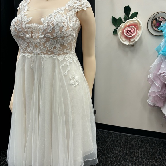 David’s  Bridal Size 20 W.  Beautiful tea-length gown - Picture 9 of 15